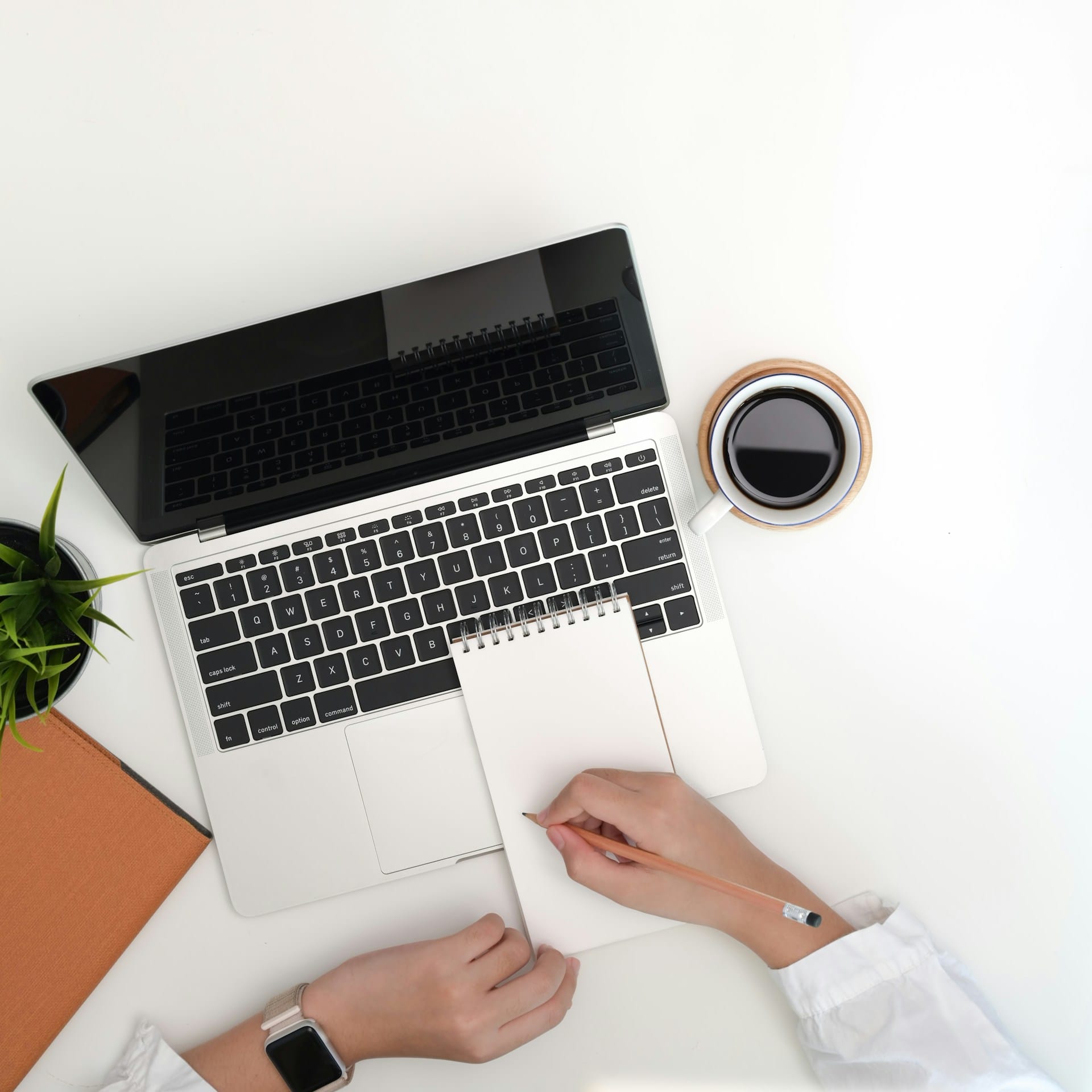 Strategic Pivot and Market Adaptation